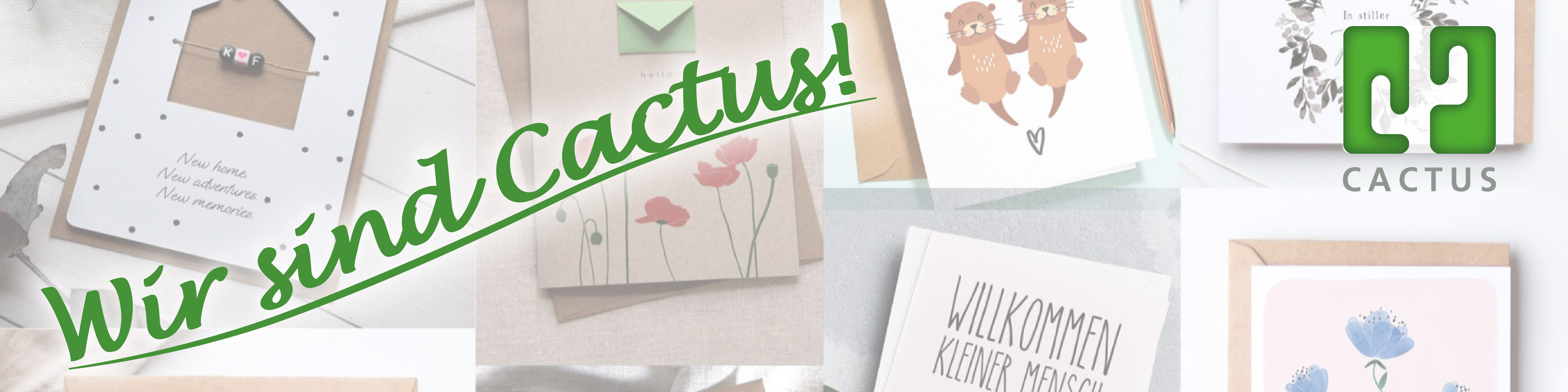 Cactus als Arbeitgeber  Dein berblick 2026